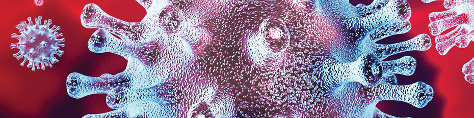 Emerging Infectious Diseases